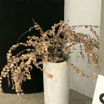 Furry插画素材分享兽圈社群